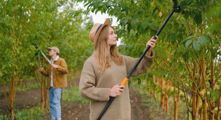 Farm Worker Jobs in New Zealand