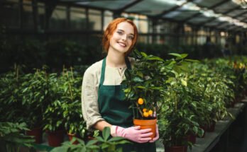 Nursery Hand Jobs in Australia