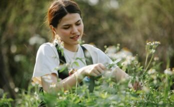 Gardener Jobs in New Zealand