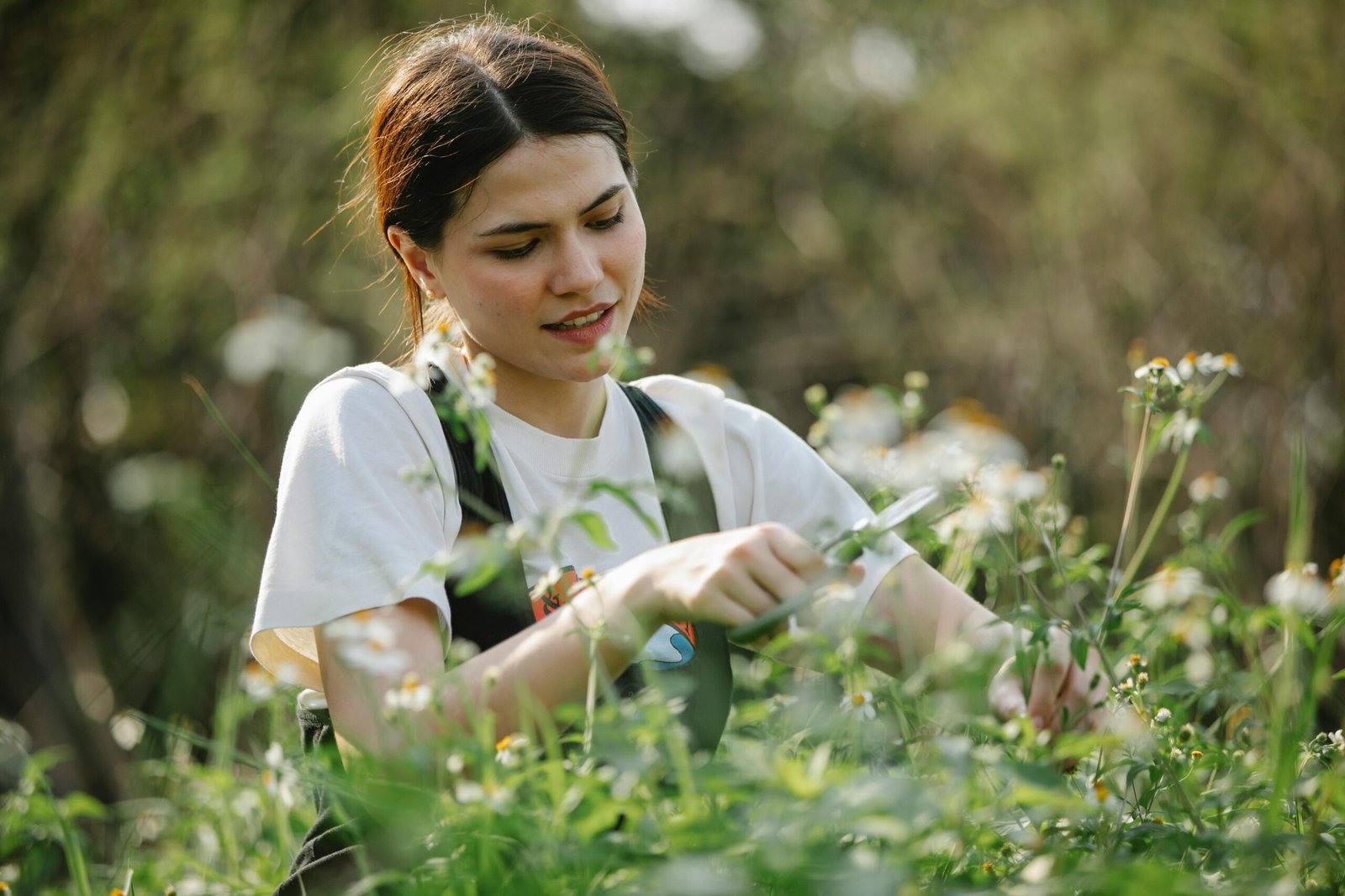Gardener Jobs in New Zealand