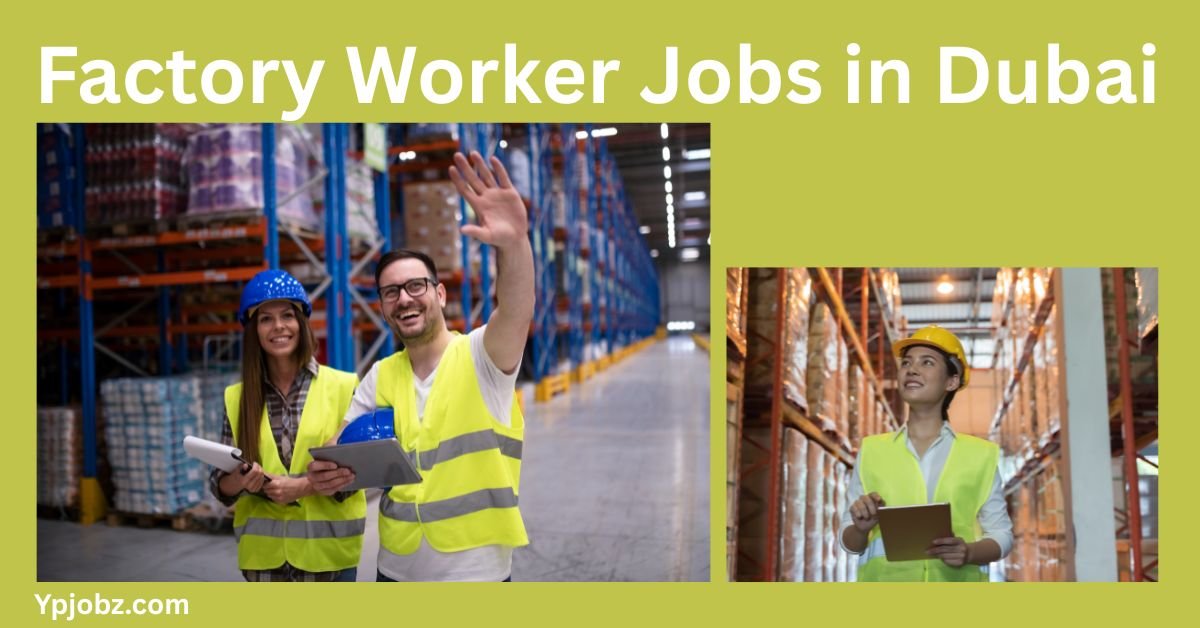 Factory Worker Jobs in Dubai