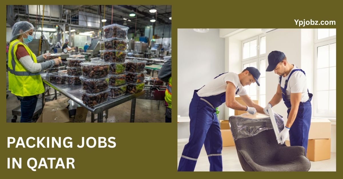 Packing Jobs in Qatar